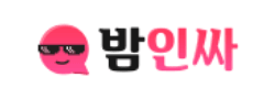 밤인싸 로고